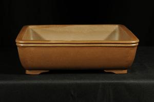 Bonsai tál 15.