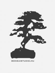 Bliszteres konkáv bonsai olló 275 mm