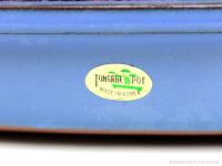 Sageretia theezans - Szagerécia bonsai 01.