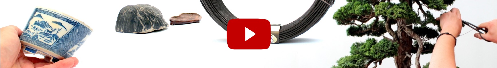 bonsai, video, marczika bonsai studio, erd, hungary bonsai video film marczika bonsai studio erden